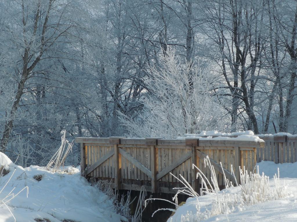 Bed and Breakfast Haus Bergkranz Lermoos Esterno foto